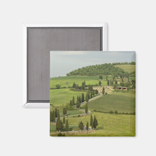 Weg van Pienza naar Montepulciano Magneet (Voorkant / Achterkant)