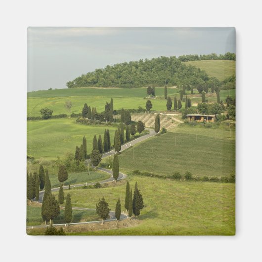 Weg van Pienza naar Montepulciano Magneet (Voorkant)