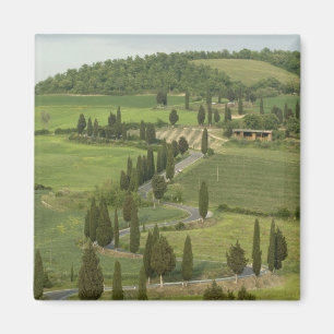 Weg van Pienza naar Montepulciano, Magneet