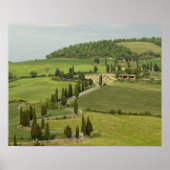 Weg van Pienza naar Montepulciano Poster (Voorkant)