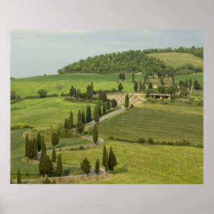 Weg van Pienza naar Montepulciano Poster