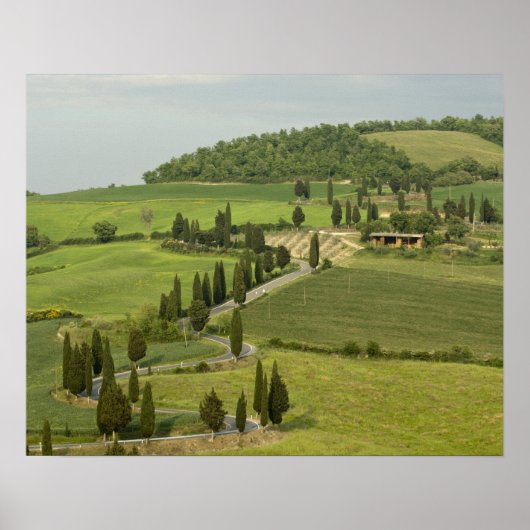 Weg van Pienza naar Montepulciano Poster (Voorkant)
