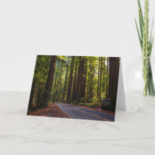 Weg van ReuzeCalifornische sequoia Californië Kaart