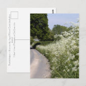 Wegbermhaag in Herefordshire Briefkaart (Voorkant / Achterkant)