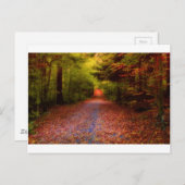 Wegen in Natuur Briefkaart (Voorkant / Achterkant)