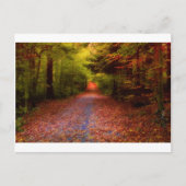 Wegen in Natuur Briefkaart (Voorkant)