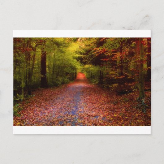 Wegen in Natuur Briefkaart (Voorkant)