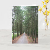 Wegen Kaart (Gele Bloem)