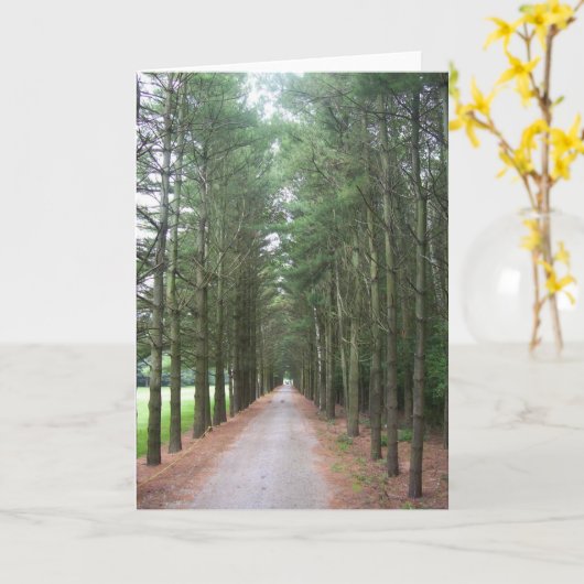 Wegen Kaart (Gele Bloem)