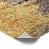 Wegen van Cappadocia Poster (Hoek)