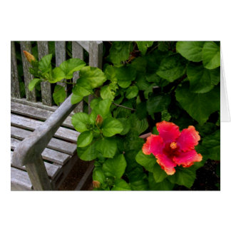 Wegerzyn Garden Center #30