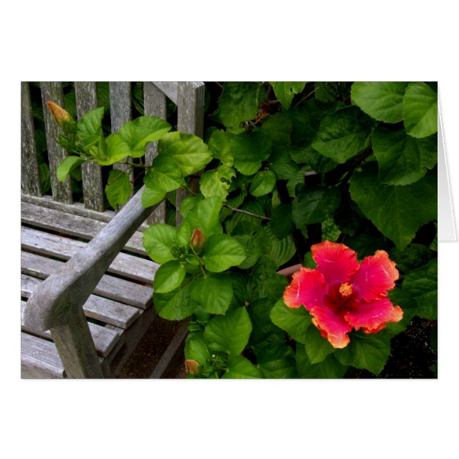 Wegerzyn Garden Center #30 (Voorkant Horizontaal)