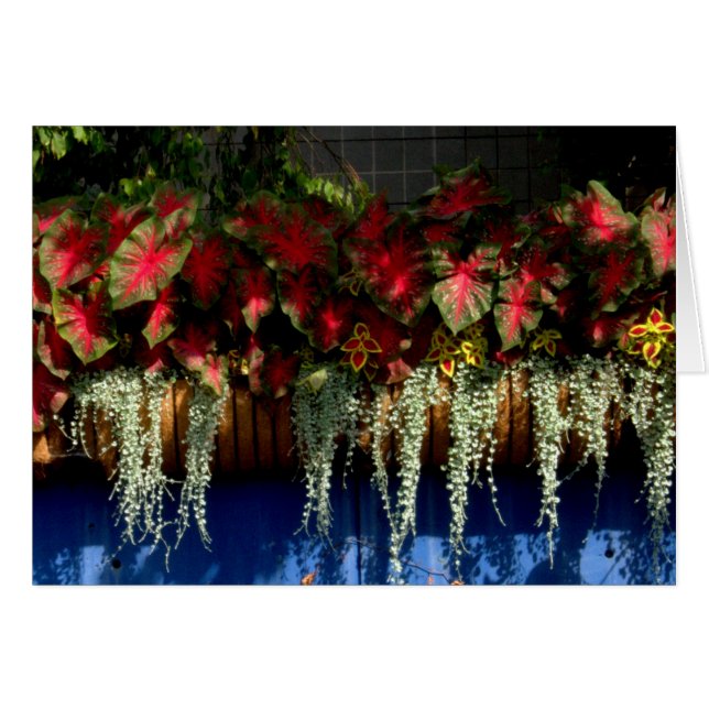 Wegerzyn Garden Center #34 (Voorkant Horizontaal)