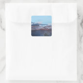 Weggespierde Stickers (Tas)