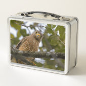 Weghavik, Wilde Vogelfotografie (Achterkant)