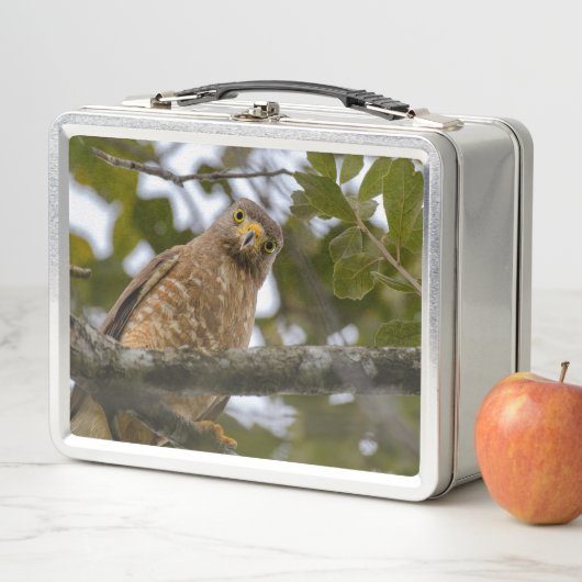 Weghavik, Wilde Vogelfotografie (In situ)