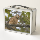 Weghavik, Wilde Vogelfotografie (Voorkant)