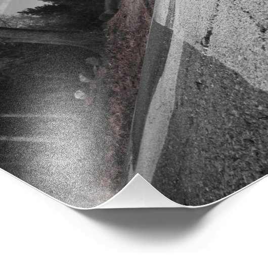 Wegkruising 8x10 foto afdruk (Hoek)