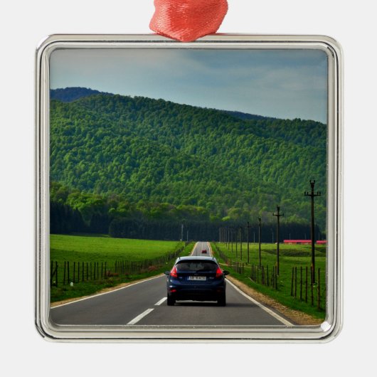 Wegrit Metalen Ornament (Voorkant)