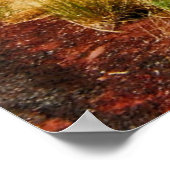 Wegvervoer door het Nationaal Park Zion Poster (Hoek)