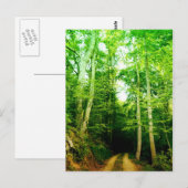 Wegvervoer per Bos Postkaart (Voorkant / Achterkant)