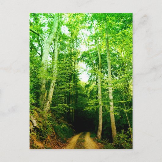 Wegvervoer per Bos Postkaart (Voorkant)
