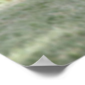 wegwerpvogel in het woestijnposter poster (Hoek)