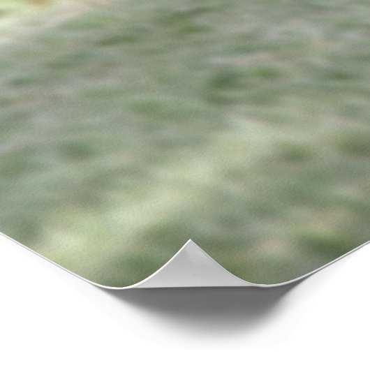 wegwerpvogel in het woestijnposter poster (Hoek)