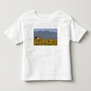 Wegwielrenners racen over een landweg in kinder shirts