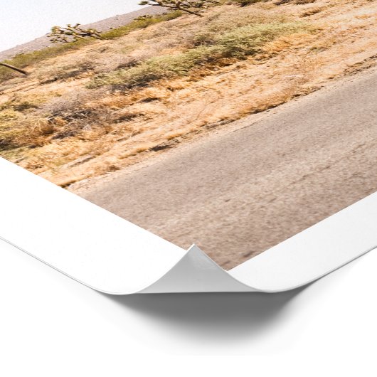 Wegwijzer in de woestijn poster (Hoek)