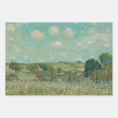 weide | Alfred Sisley | National Gallery of Art Inpakpapier Vel (Voorkant 3)