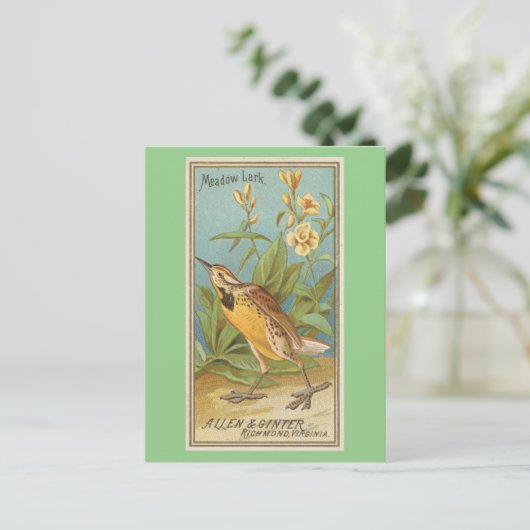 weide briefkaart (Staand voorkant)