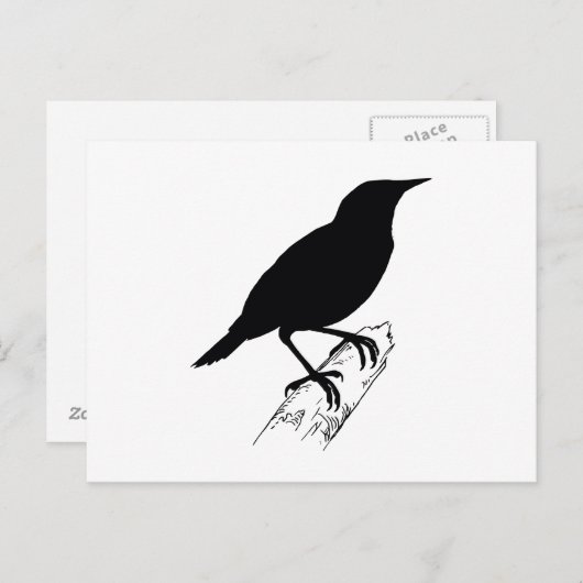 weide briefkaart (Voorkant / Achterkant)