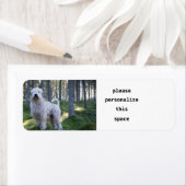 weide doodskist vol bossen etiket (Insitu)