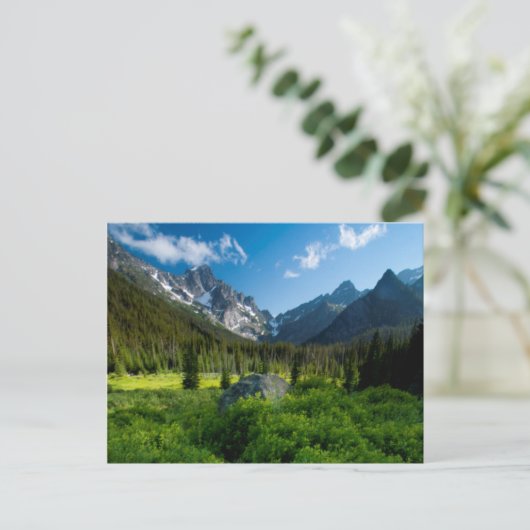 Weide en Mt. Stuart Briefkaart (Staand voorkant)