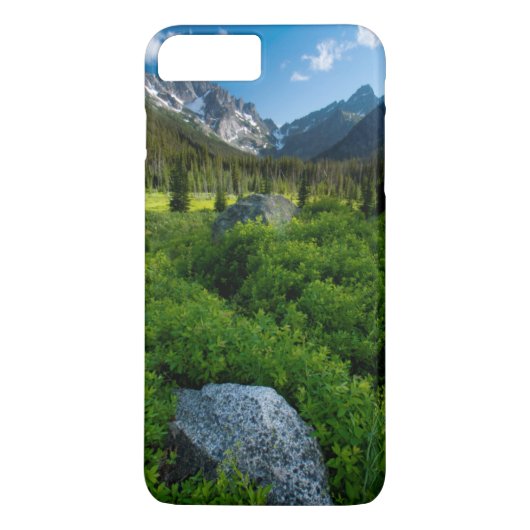 Weide en Mt. Stuart Case-Mate iPhone Case (Achterkant)