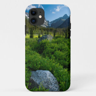 Weide en Mt. Stuart Case-Mate iPhone Case