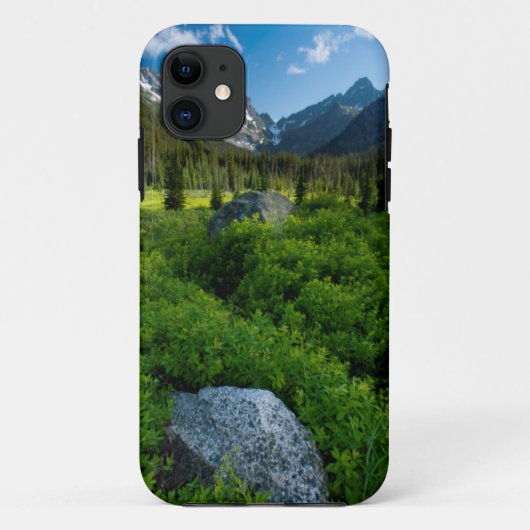 Weide en Mt. Stuart Case-Mate iPhone Case (Achterkant)