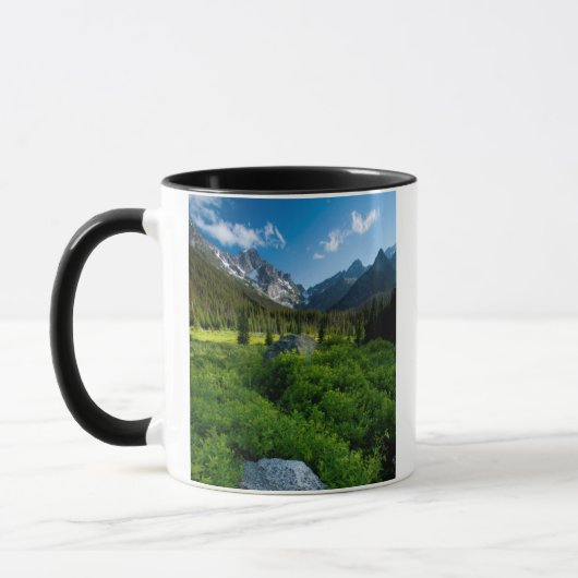 Weide en Mt. Stuart Mok (Links)