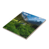 Weide en Mt. Stuart Tegeltje (Zijkant)