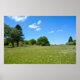 Weide idylle poster