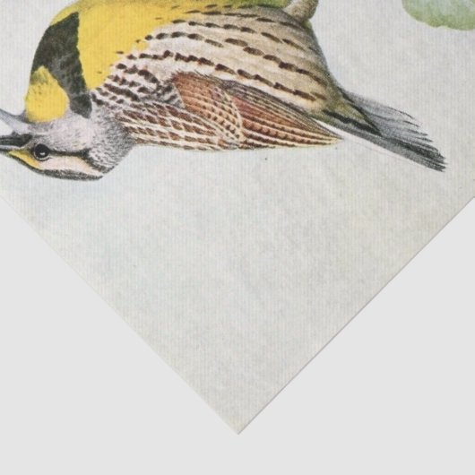  weide leeuwerik waterverf tissuepapier (Detail)