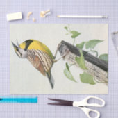 weide leeuwerik waterverf tissuepapier (Craft)