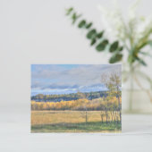 Weide met Espen Briefkaart (Staand voorkant)