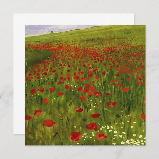 Weide met papaver (1896) Merse Pál Szinyei (Voorkant / Achterkant)