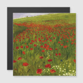 Weide met papaver (1896) Merse Pál Szinyei (Voorkant / Achterkant)