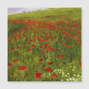 Weide met papaver (1896) Merse Pál Szinyei