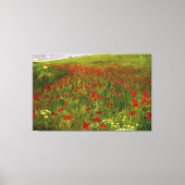 Weide met papaver (1896) Merse Pál Szinyei Canvas Afdruk (Voorkant)