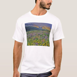 Weide met wilde bloemen in de Many glacier T-shirt
