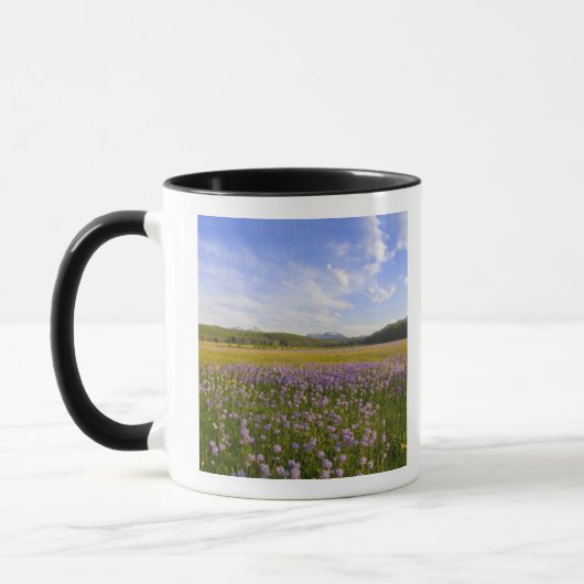 Weide van penstemon-wildbloemen in de 2 mok (Links)